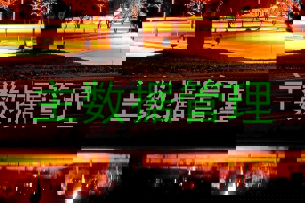 主数据管理