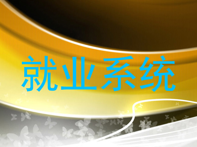 就业系统