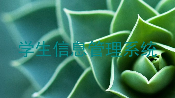 学生信息管理系统