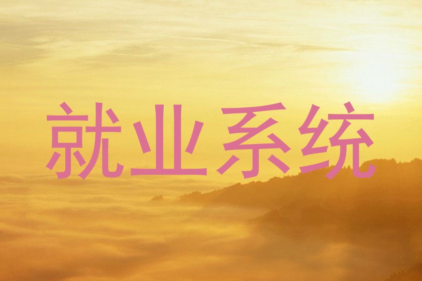 就业系统