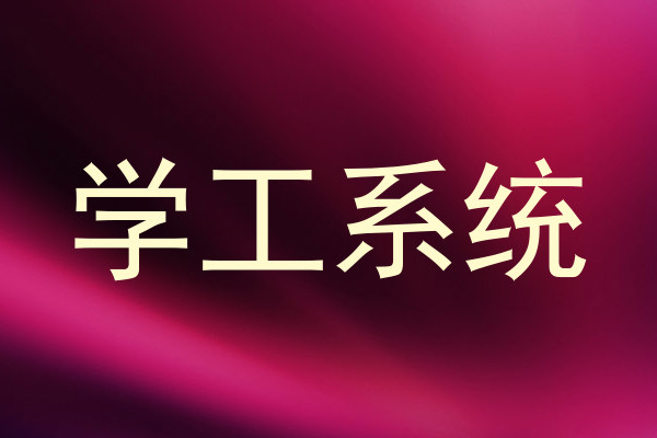 学工系统