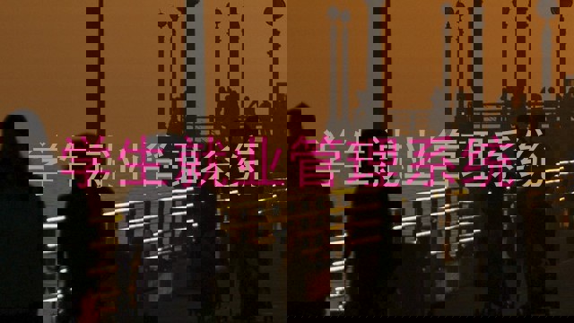 学生就业管理系统