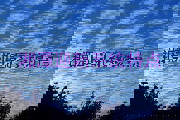 湘潭迎新系统特点