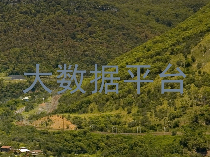 大数据平台