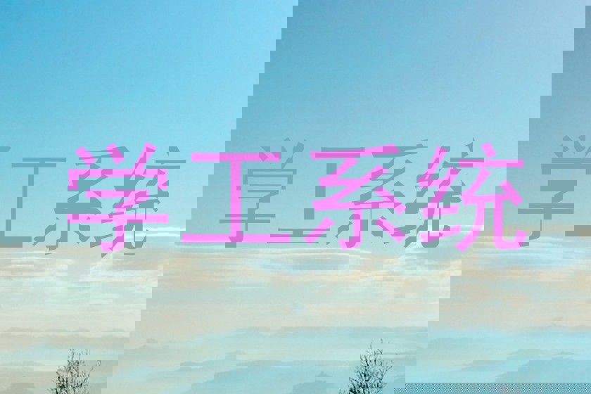 学工系统
