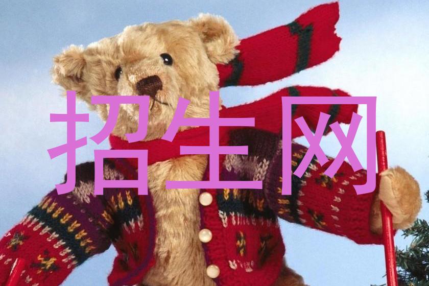 招生网