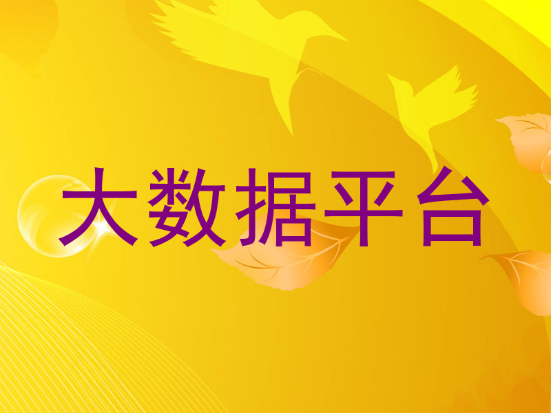 大数据平台