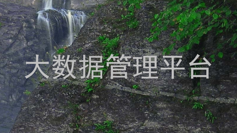 大数据管理平台