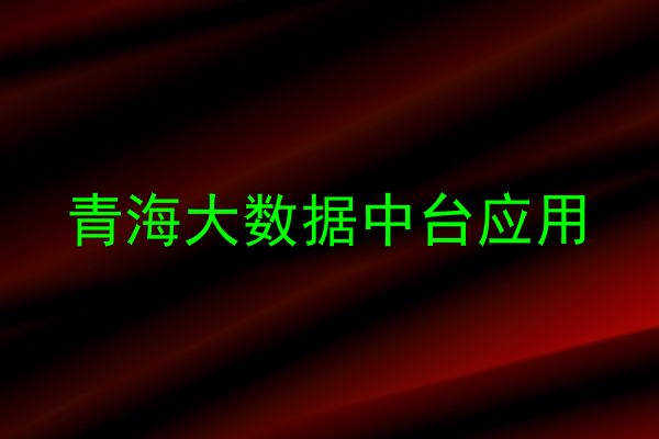 青海大数据中台应用