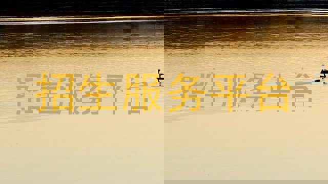 招生服务平台