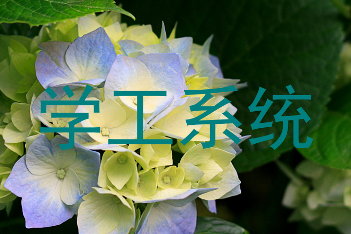 学工系统