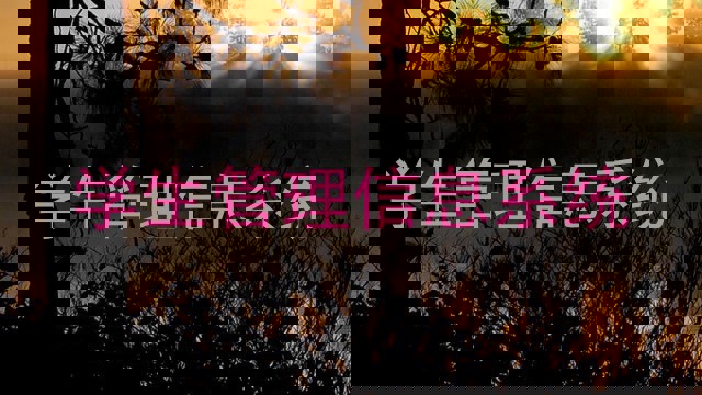 学生管理信息系统