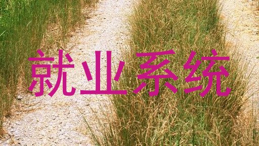 就业系统