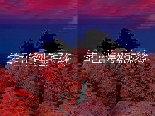 学生工作管理信息系统