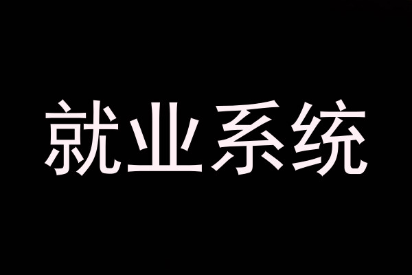 就业系统