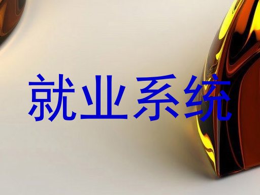 就业系统