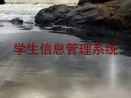 学生信息管理系统