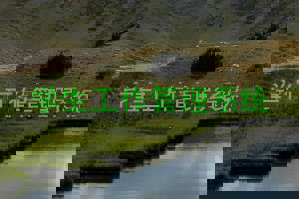 学生工作管理系统
