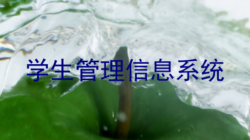 学生管理信息系统