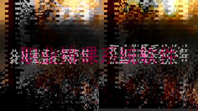 职业排课系统软件