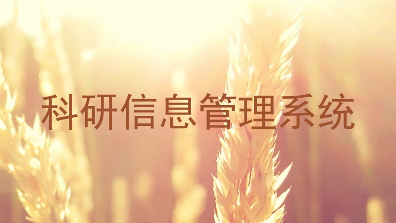 科研信息管理系统
