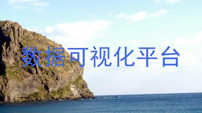 数据可视化平台