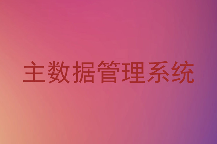 主数据管理系统