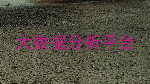 大数据分析平台