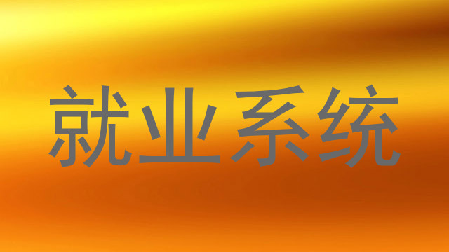 就业系统