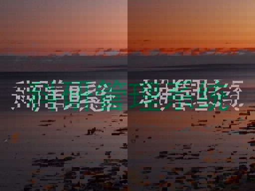 科研管理系统