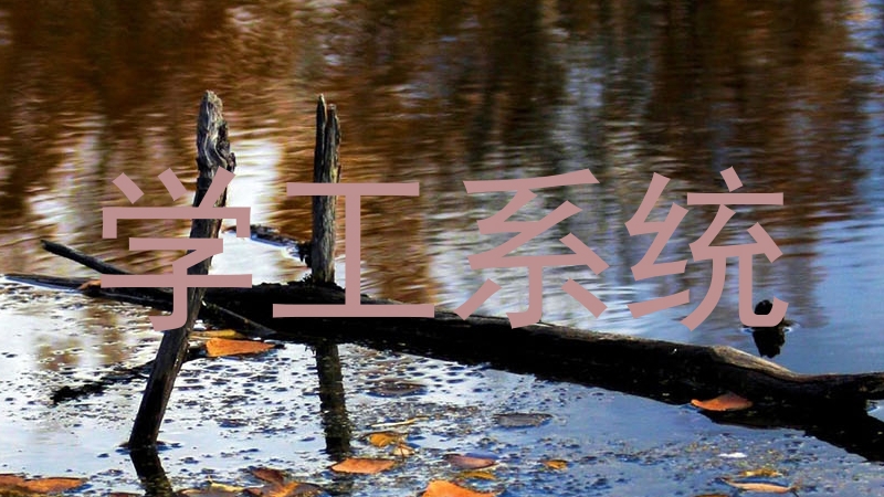 学工系统