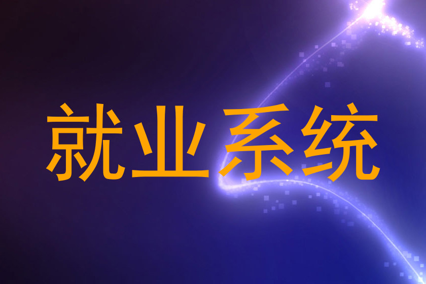 就业系统