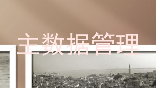 主数据管理