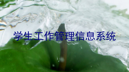 学生工作管理信息系统