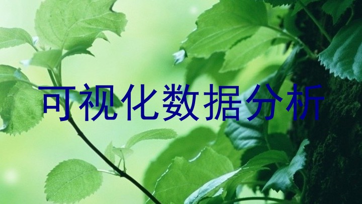可视化数据分析