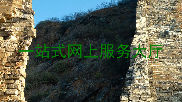 一站式网上服务大厅