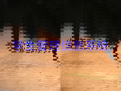 学生管理信息系统