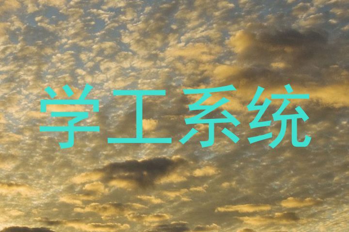 学工系统