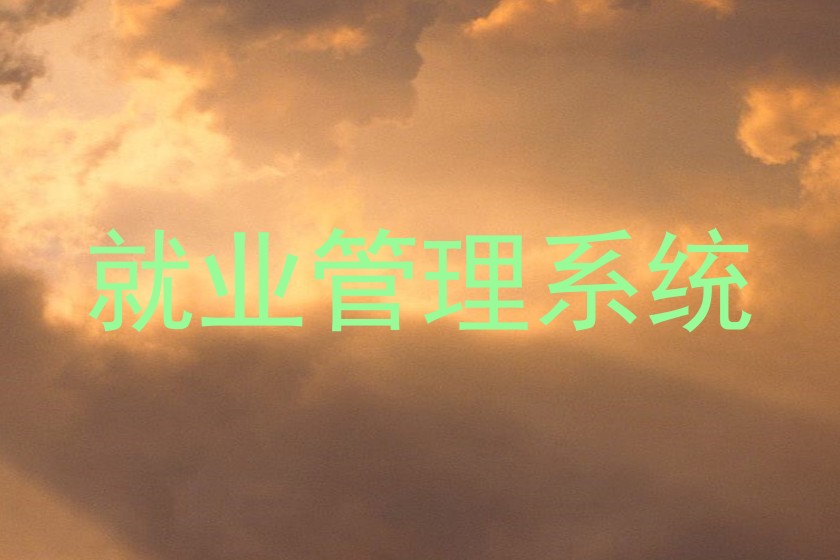 就业管理系统