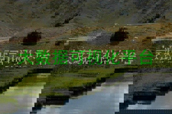 大数据可视化平台