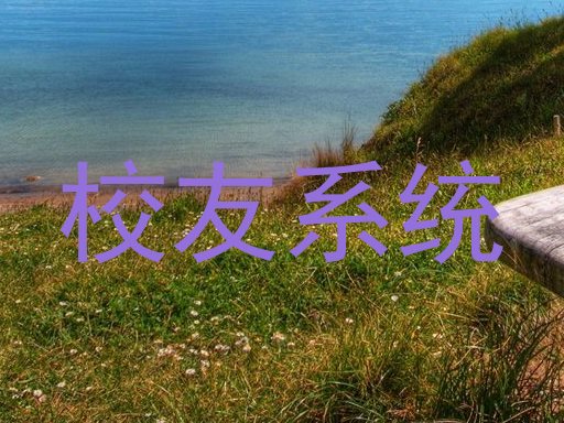 校友系统