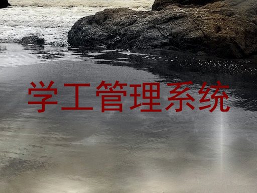 学工管理系统