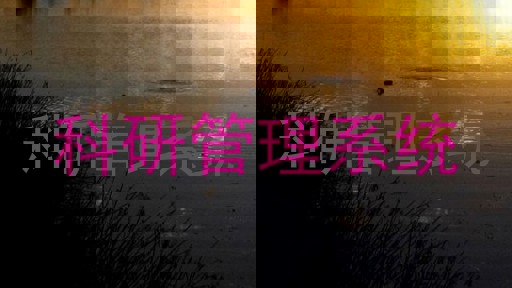 科研信息管理系统