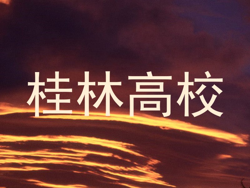 桂林高校