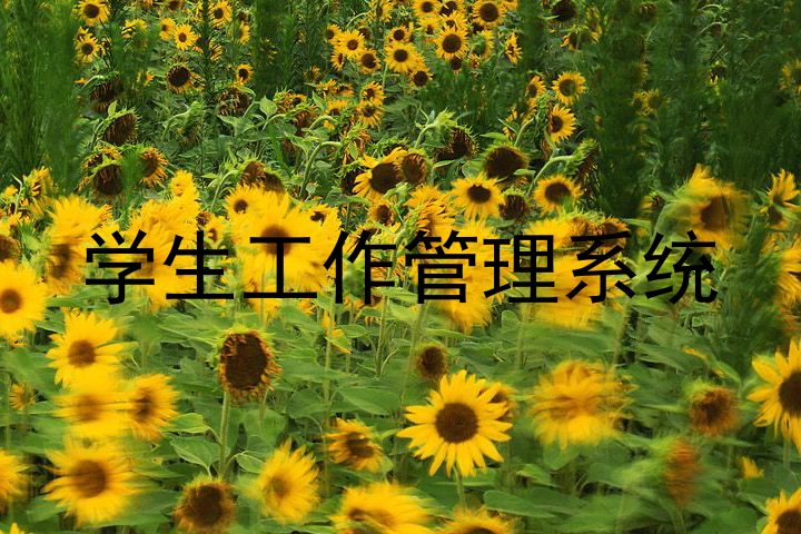 学生工作管理系统