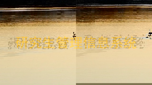 研究生管理信息系统