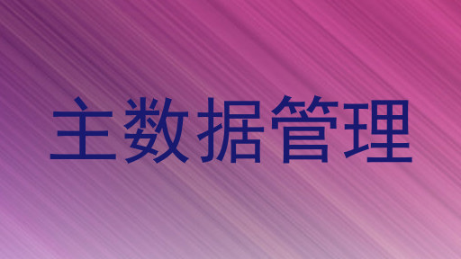 主数据管理