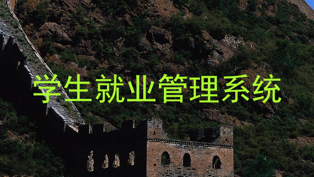 学生就业管理系统
