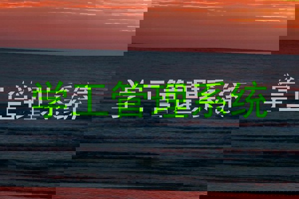 学工管理系统