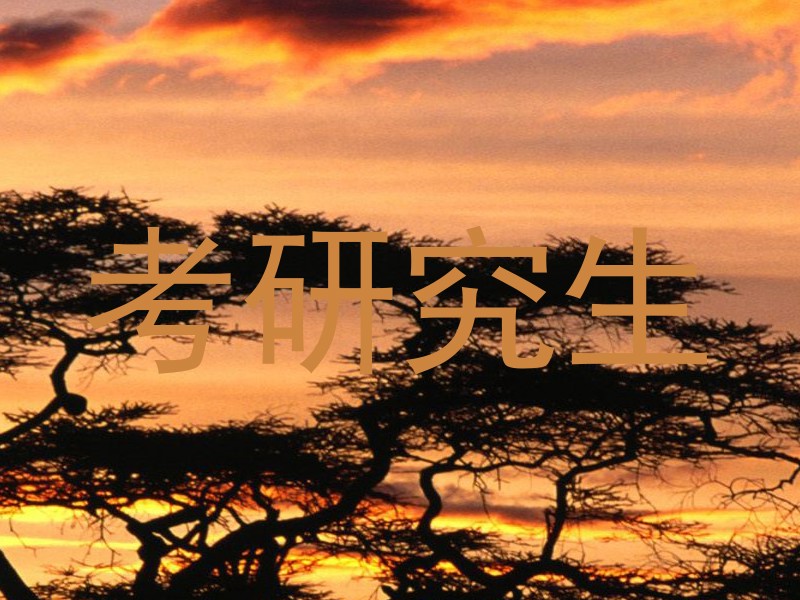 考研究生